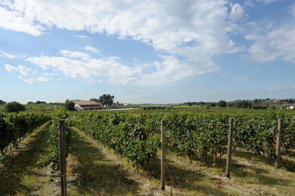 Tenuta La Ca Μπαρντολίνο Εξωτερικό φωτογραφία